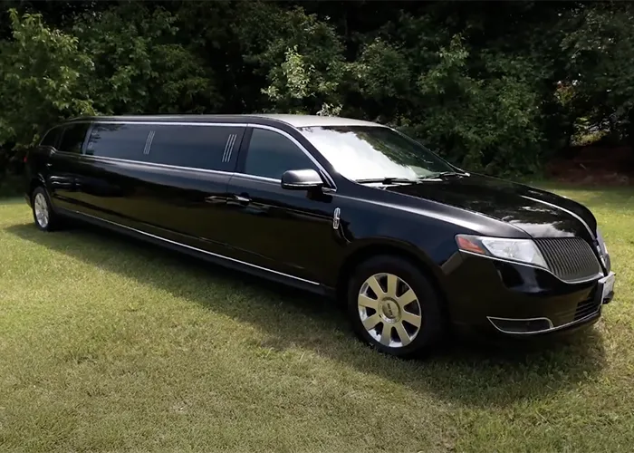 Stylish Limousines for transportation.
